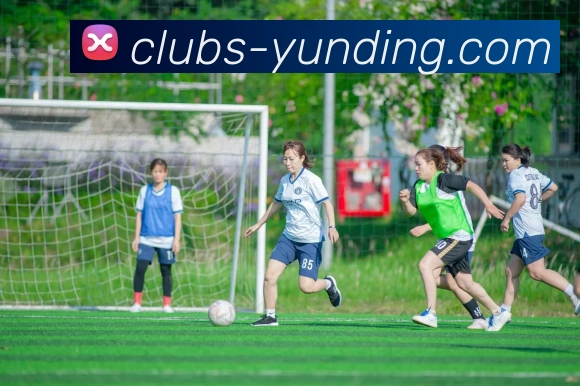 4118云顶官网发展历程